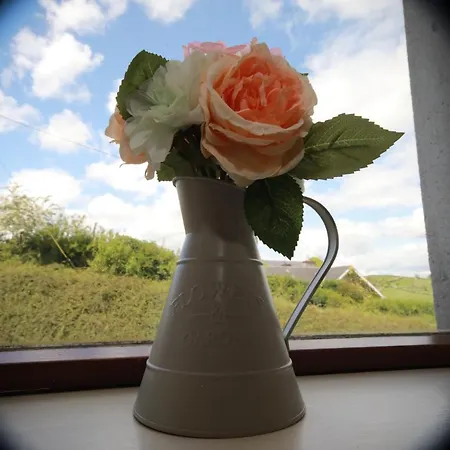Alices Loft & Feriehus Castleblayney