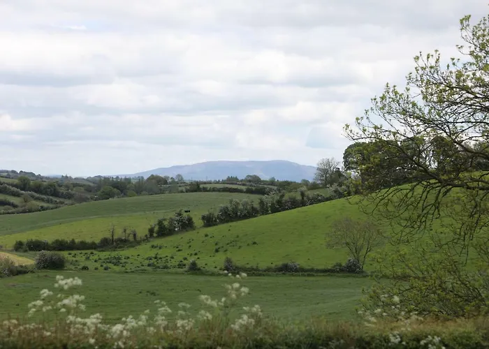 Alices Loft & Ferienhaus Castleblayney