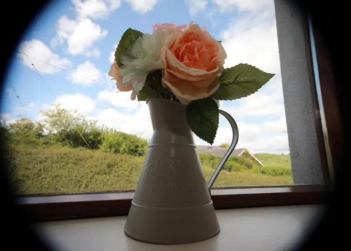 Alices Loft & Ferienhaus Castleblayney